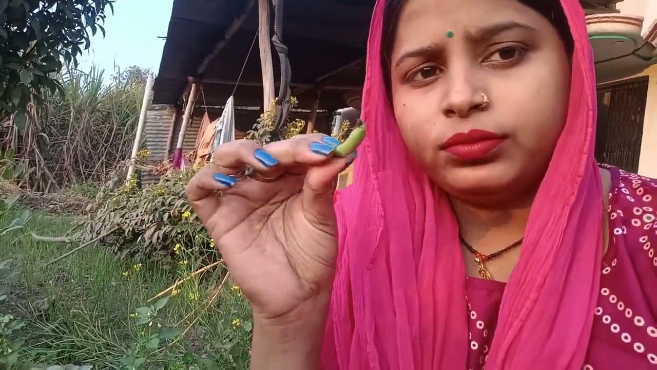 Itni sari sabji todi maine😱