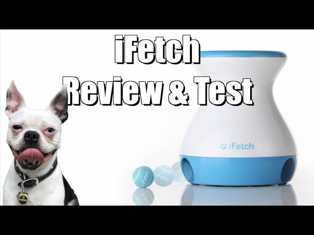 Ifetch Frenzy Toy Review You