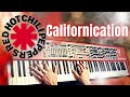 Red Hot Chili Peppers - Californication | Piano cover by Evgeny Alexeev
