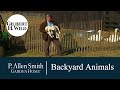 Backyard Animals & Beneficial Insects | Garden Home (720)