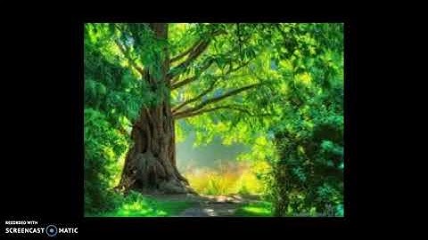 سورة الأنعام من الاية 132 حتى 142 بصوت المهندس / أشرف أسامة
