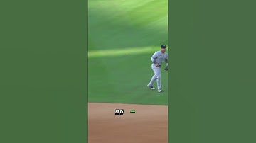 Aaron Judge Broke The Fence?! 😱