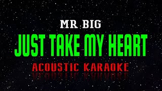 Mr Big - Just Take My Heart  (Acoustic Karaoke) screenshot 5