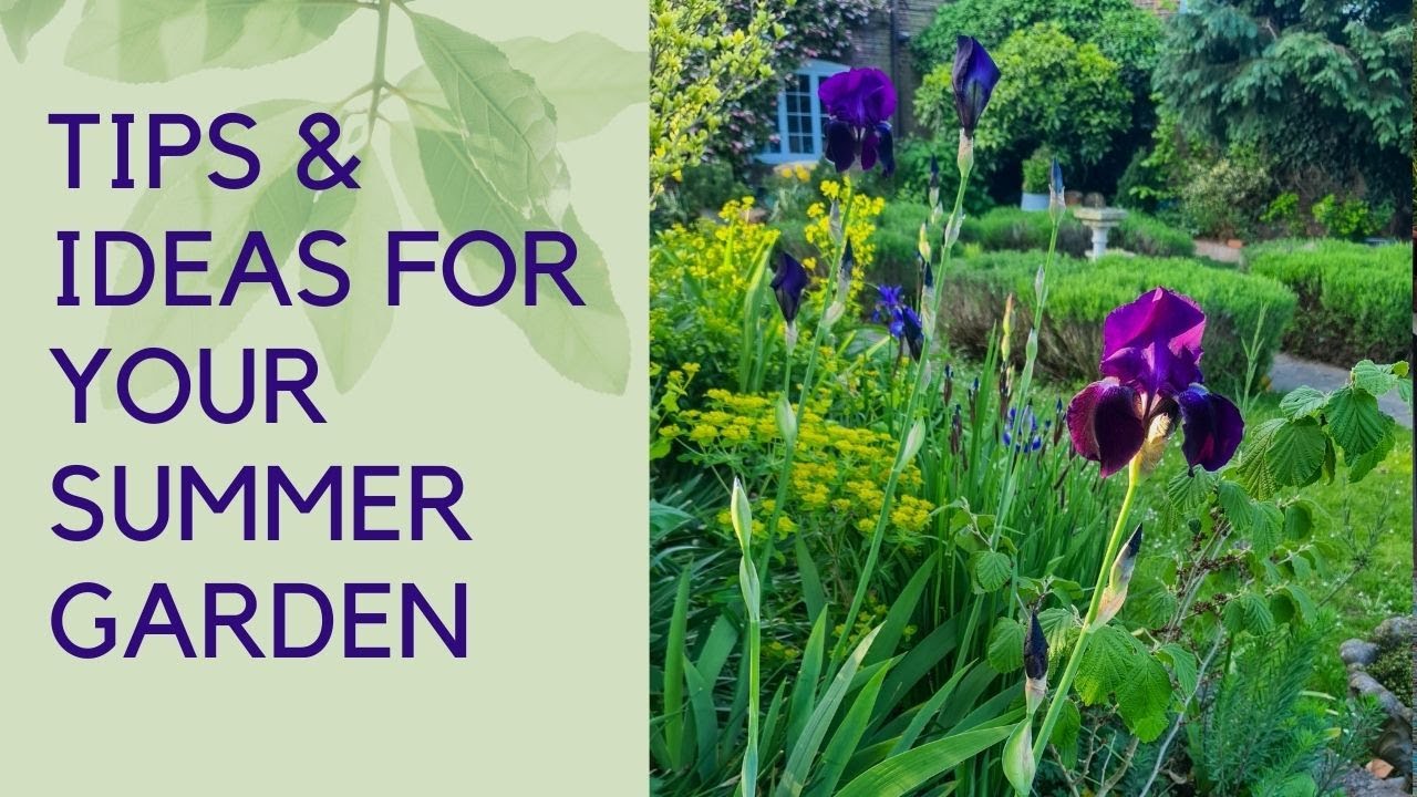 Early summer garden tips and tour - what to do in your garden now - YouTube
