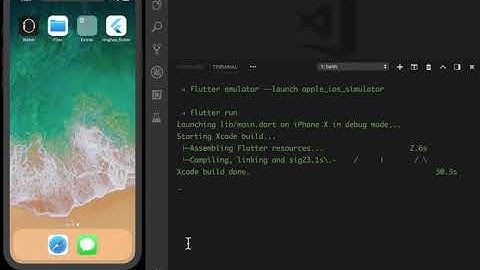 9 运行 Flutter 项目（iOS 模拟器）