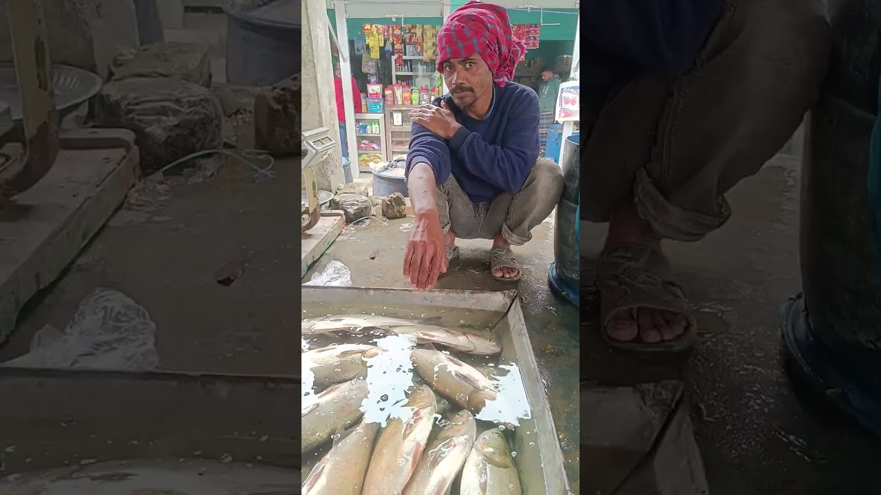 তারাইল বাজার চ্যানেল সাবস্ক্রাইব করুন। Robin vlogs 