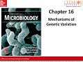 09 BIOL 8470 Module 2 Chapter 16