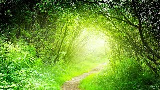 Relaxing Music, Meditation, Healing, Sleep, Calm Music, Soothing Music, Zen, Yoga, Study, ☯1959 Relaxing Music, Meditation, Healing, Sleep, Calm Music, Soothing Music, Zen, Yoga, Study, ☯1959