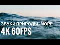 Это видео перенесёт тебя на море 🌊 Звуки природы - море. Шум моря 4K 60fps