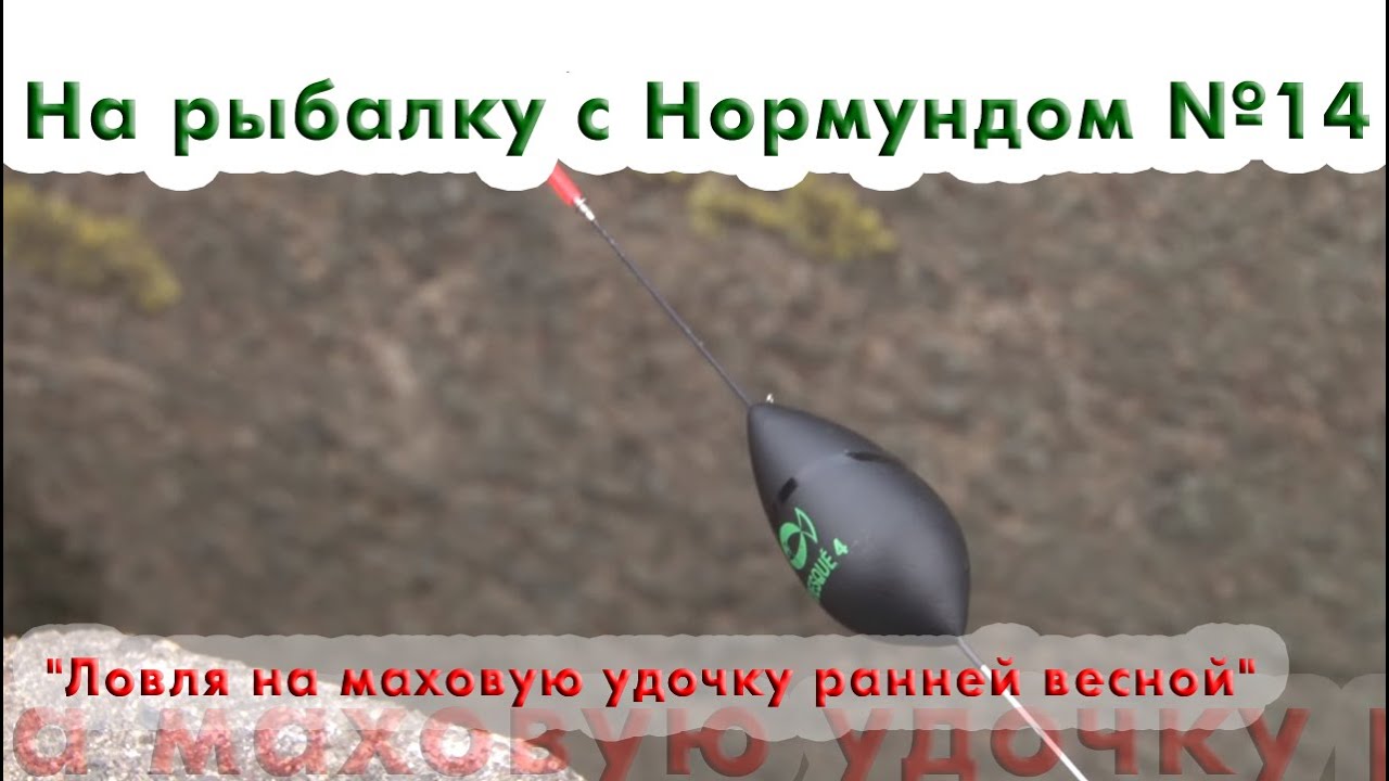 На рыбалку с Нормундом #14 Ловля на маховую удочку ранней весной
