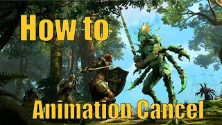 Mastering the art of Animation Cancel and your gaming skills will