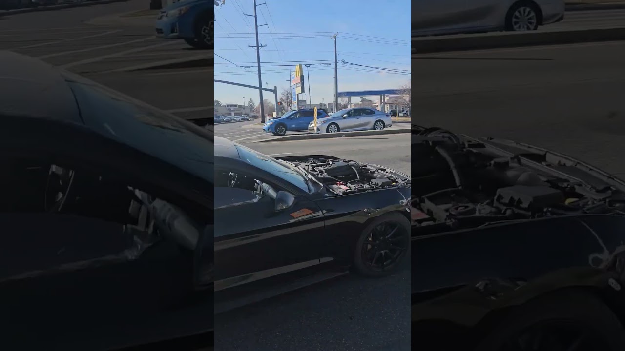 Midnight Coyote ready to rip!