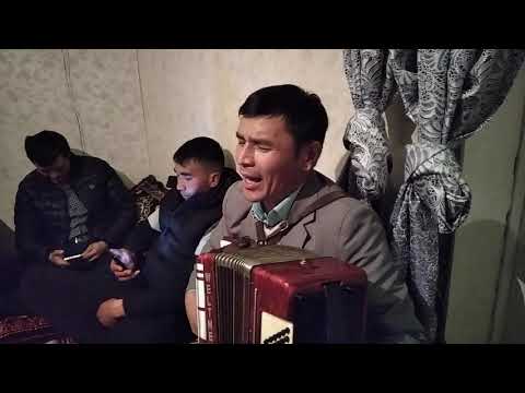 Video: Жаачы адамга эмне берүү керек