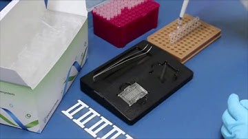 Sistema PCR en tiempo real GENECHECKER ® modelo UF-300