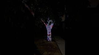 Touchdesigner video mapping on a tree! #touchdesigner