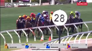 Royal Symphony Colt   SD 480p