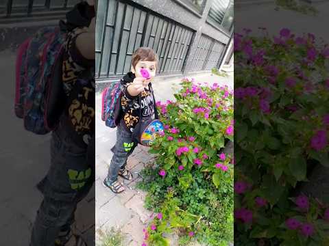 ورد وشايل ورده عراقي اكسبلور بيبي Funny