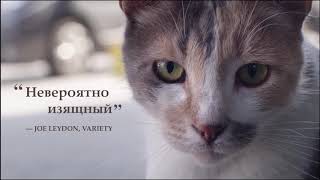 Город кошек — Русский трейлер Город кошек — Русский трейлер
