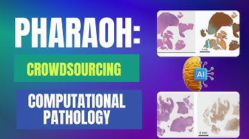 PHARAOH: Crowdsourcing Computational Pathology