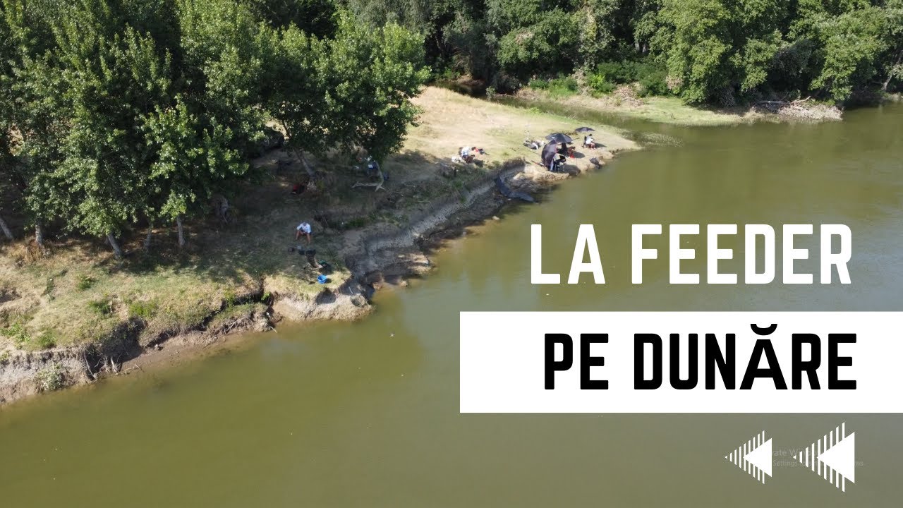 Ce locuri cautam cand Dunarea scade puternic? Pescuit la feeder pe Dunare!