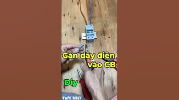 Hướng dẫn cách gắn dây điện vào CB #CBchonggiat #meovatvathuthuat #Shorts #daydien