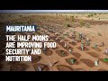 Halfmoons greening mauritania