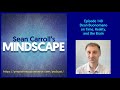 Mindscape 140  dean buonomano on time reality and the brain