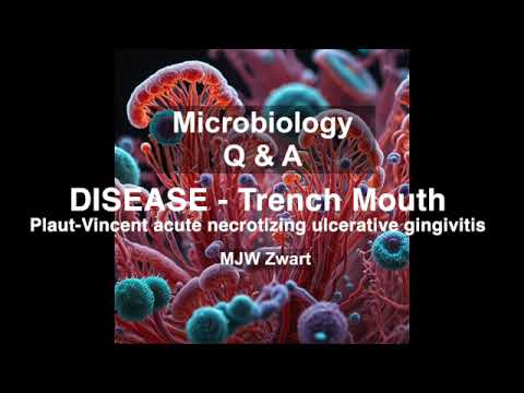 Microbiology Q\u0026A Disease   Trench Mouth: Understanding Acute Necrotizing Ulcerative Gingivitis(ANUG)