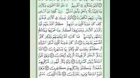 #سورة الروم#الآيات٦_٨#تلاوة الشيخ أيمن سويد #قليل دائم خير