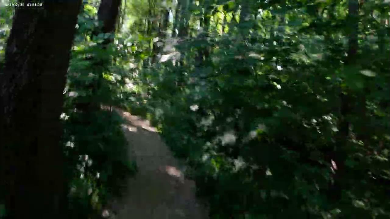 Пример виде с экшен камеры Digma DiCam 880, режим съемки 2,7К 60 FPS ...