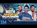 Zé Neto e Cristiano - Netto Dj - Antes do Amor Virar Saudade - TM OFICIAL