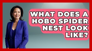 What Does A Hobo Spider Nest Look Like? - Insects and Invaders