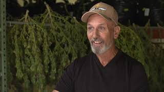 GROWER TESTIMONIAL – Mark From Heritage Farmacy