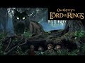 Lord of the Rings + My Cat