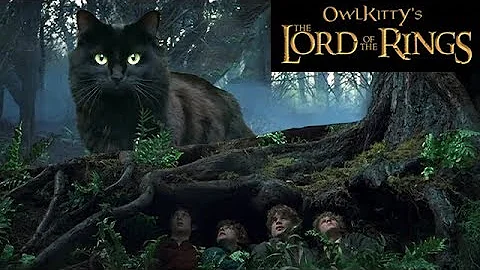 Lord of the Rings + My Cat