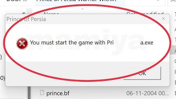 Fix You must start the game with .exe Problem in Windows 11,10,7,8