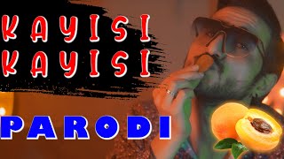 Kayısı Kayısı PARODİ - Baran Karaoğlan, Zekiyce / PARODİ KİNGS