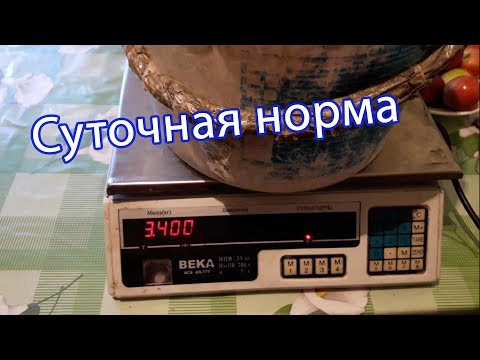 Суточная потребность корма для курей / Взвешиваем корм