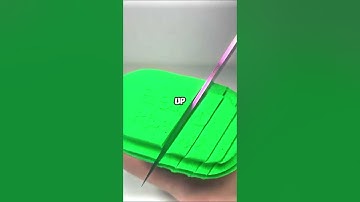 What was the biggest plot twist in your life?