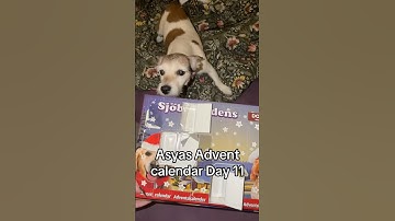 Asyas Advent Calendar Day 11