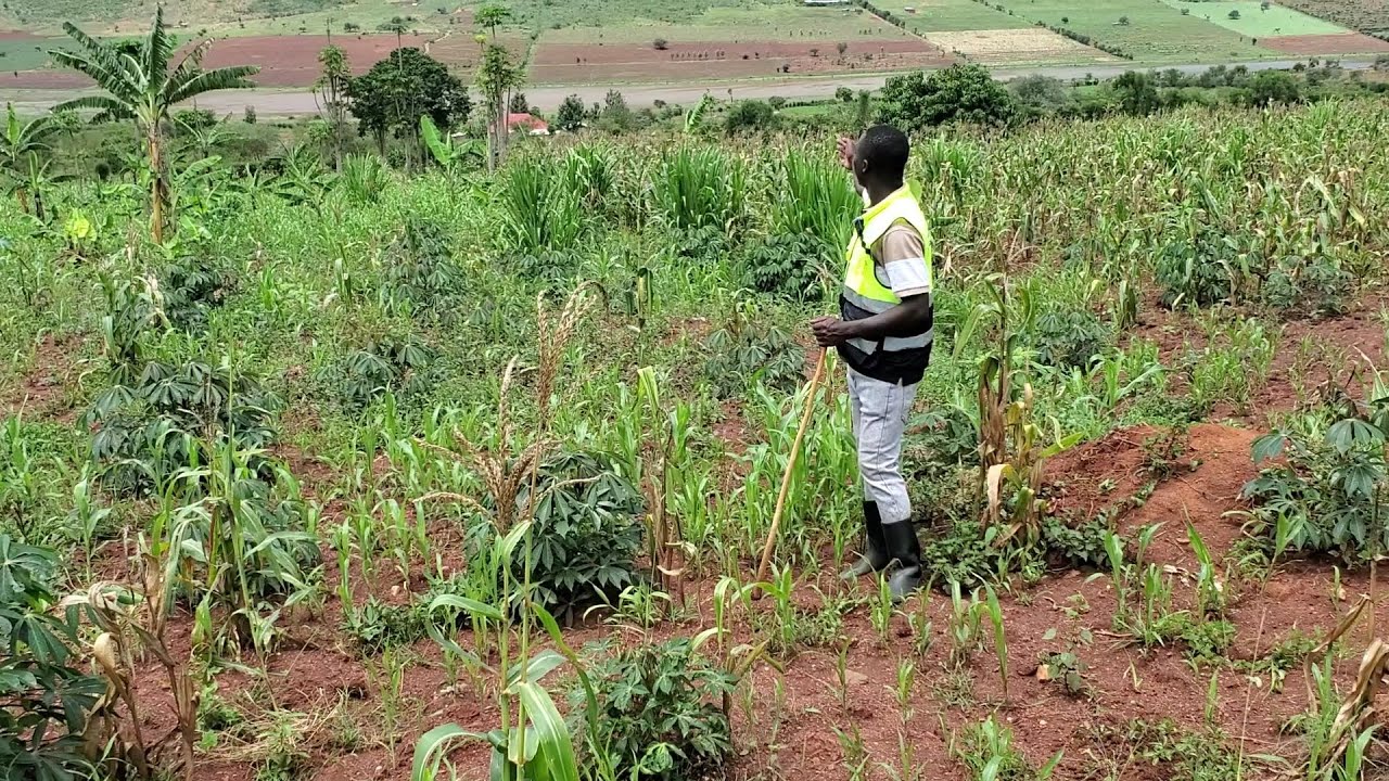 🔥HECTARES 9 ZOSE HAMWE #MILLIONS 35 ?? UBUSE URABYEMERA KOKO ?? GUSA NIKO BIMEZE  TABARA TABARA 📢🚘