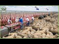How Australian Farmers Make Billions from Agriculture – Modern Farming at Massive Scale Mp3 Song