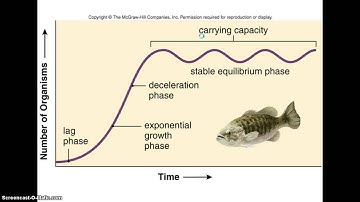 Population Dynamics