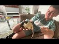 Another update on the rats