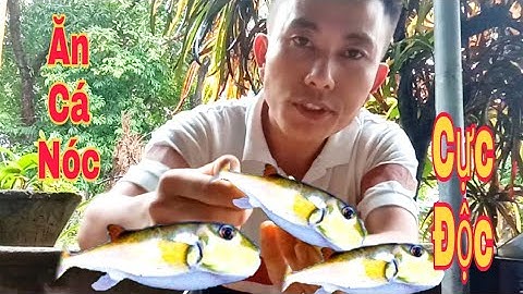 Cá Nóc Biển // Đức Gà VLogs Ăn Nguyên Mâm Cá Nóc Cực Độc