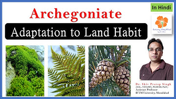 Archegoniate adaptation to land habit | #Archegoniates #107