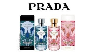 prada splash water