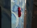 prt 2 stop motion