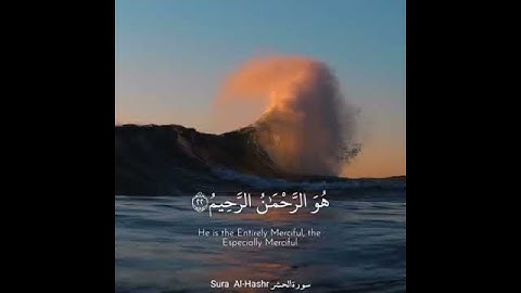 حالات واتس اب تلاوة خاشعة🎧 القارئ احمد النفيس💛