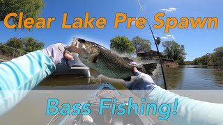 Clear Lake California Pre Spawn Bass Fishing! (Lost a big one)